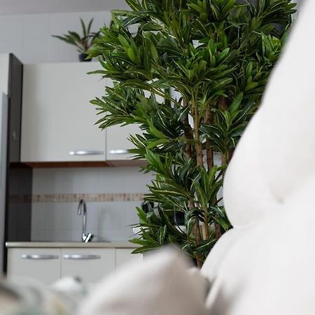 Trinidad Apartment Малага Экстерьер фото