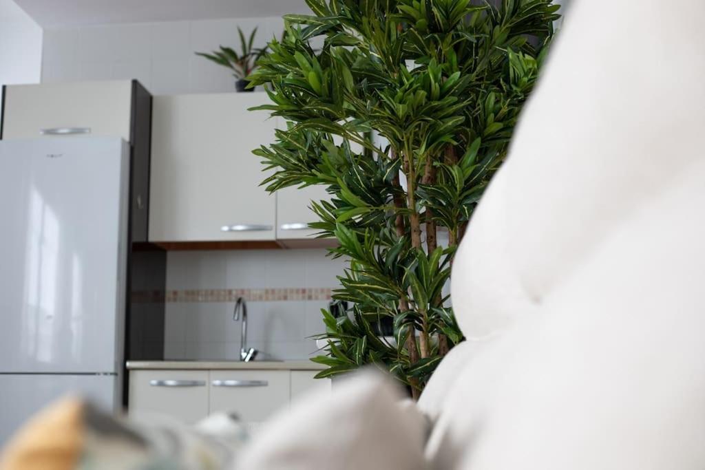 Trinidad Apartment Малага Экстерьер фото